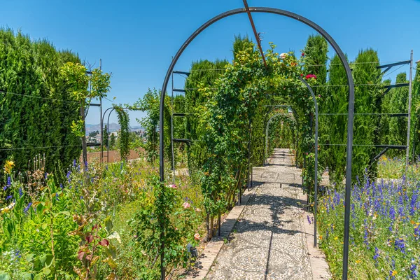 Jardines Bajos Jardines Del Generalife Granada España — Foto de Stock