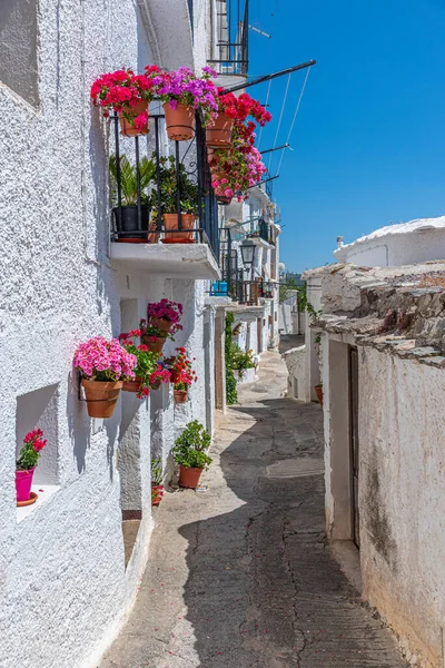 Типова Біла Вулиця Села Капілейра Іспанія — стокове фото