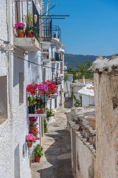 Típica Calle Blanca Del Pueblo Capileira España — Foto de Stock