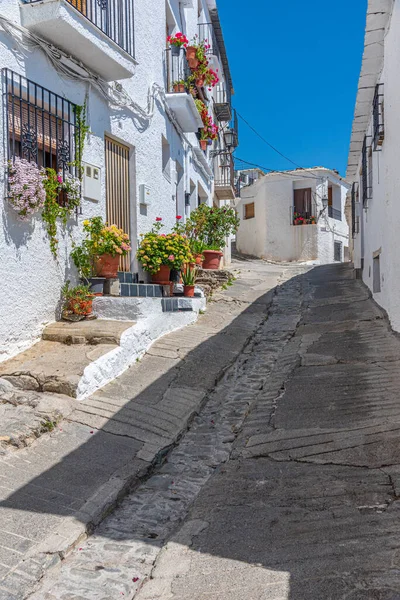 Typische Weiße Straße Des Dorfes Capileira Spanien — Stockfoto