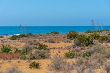 İspanya 'da Cabo de Gata' nın çorak manzarası