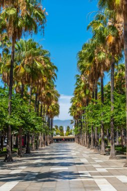İspanyol şehri Almerya 'daki Rambla de Almeria sokağı