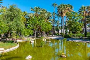 İspanya, Elche 'deki Parc dels peixos' taki bir gölete yansıyan palmiyeler