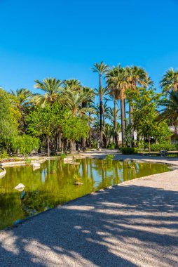 İspanya, Elche 'deki Parc dels peixos' taki bir gölete yansıyan palmiyeler