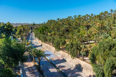 İspanya, Elche 'deki Vinalopo nehrinin kıyısında palmiye ağaçları.