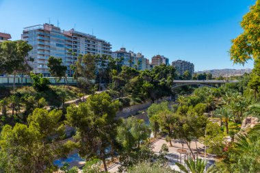 İspanya, Elche 'deki Vinalopo nehrinin kıyısında palmiye ağaçları.