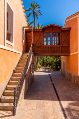 İspanyol şehri Elche 'deki Palm Müzesi