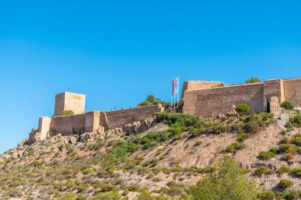 Castle in lorca overlooking the town, Spain