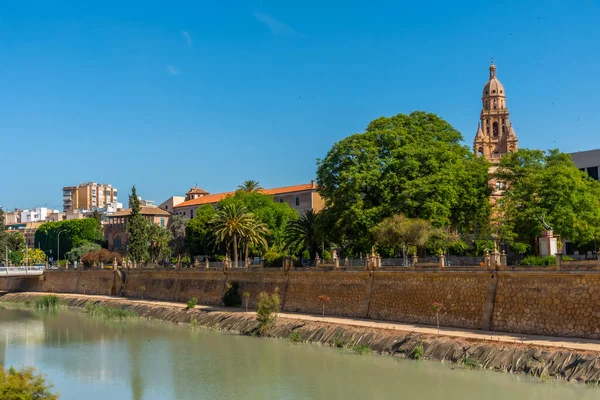 Catedral Vista Orillas Del Río Segura Murcia España —  Fotos de Stock