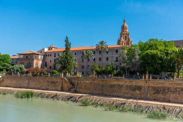 Spanya Nın Murcia Kentindeki Segura Nehrinin Arkasında Katedral Görüldü — Stok fotoğraf