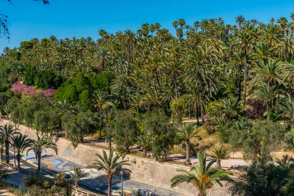 Palmlundar Utmed Vinalopo Floden Elche Spanien — Stockfoto