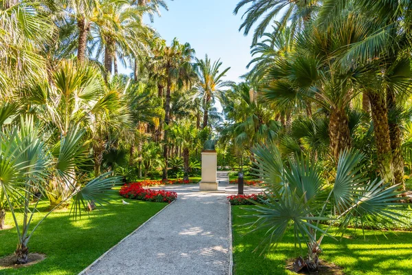 Staty Jaime Huerto Del Cura Trädgård Elche Spanien — Stockfoto