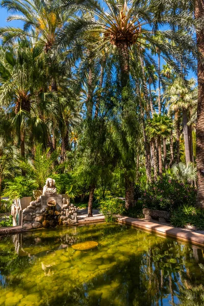 Palmeraies Reflétées Sur Étang Dans Jardin Huerta Del Cura Elche — Photo