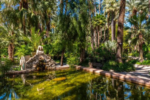Palmiye Ağaçları Spanya Nın Elche Kentindeki Huerta Del Cura Bahçesindeki — Stok fotoğraf