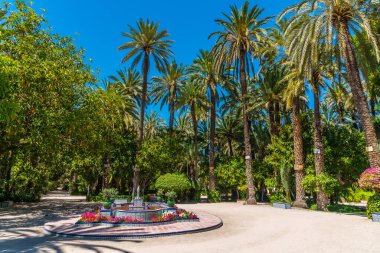 İspanya, Elche 'deki El Palmeral belediye parkında çeşme