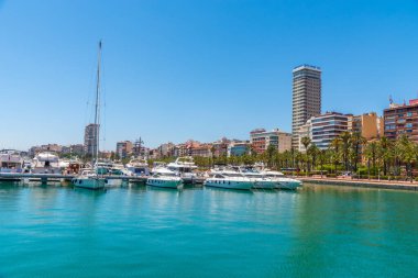 Marina, İspanya 'nın Alicante limanında.