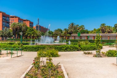 İspanya 'nın başkenti Valencia' daki Royal Gardens 'da gül bahçesi