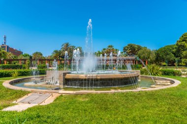 İspanya 'nın başkenti Valencia' daki Royal Gardens 'da gül bahçesi