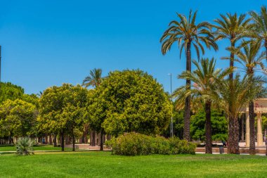 Valencia, İspanya 'da Turia Nehri' nin eski nehir yatağında yer alan park.