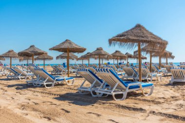 Valencia, İspanya 'da bir plajda güneşlik ve şemsiyeler
