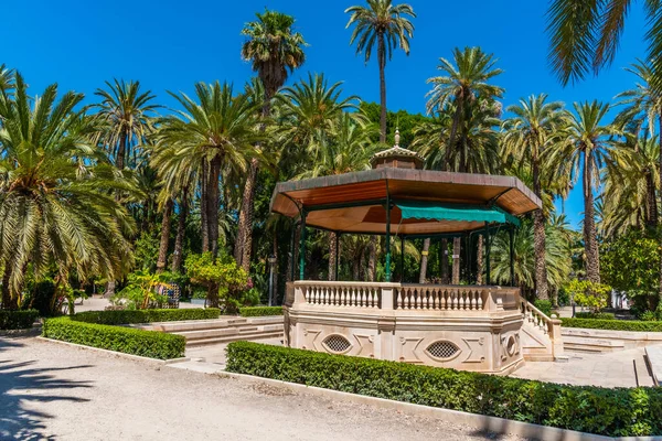 Altan Palmeral Kommun Park Elche Spanien — Stockfoto