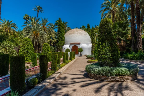 Spanya Elche Deki Palmeral Belediye Parkının Içinde Beyaz Kubbe — Stok fotoğraf