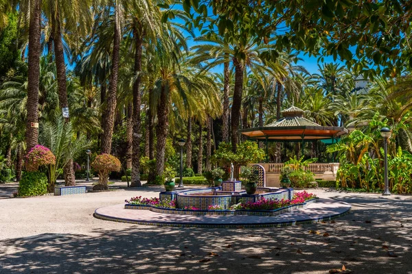 Fontänen Palmerals Stadspark Elche Spanien — Stockfoto