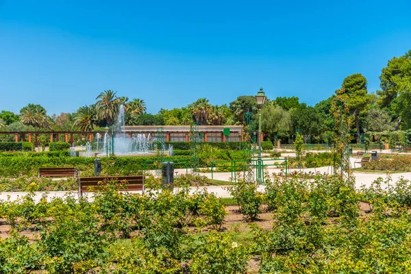 Rosenträdgård Royal Gardens Spanska Staden Valencia — Stockfoto