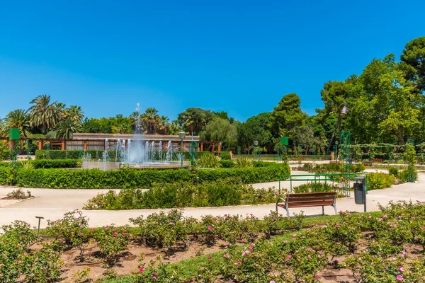 Rosenträdgård Royal Gardens Spanska Staden Valencia — Stockfoto