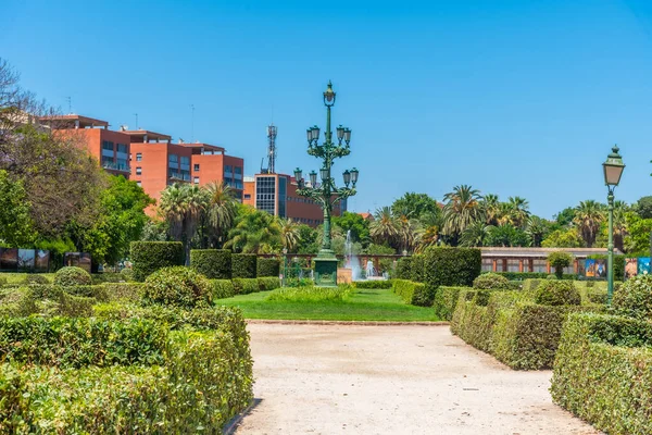 Rose garden at Royal gardens in Spanish city Valencia