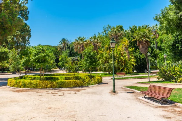 Königliche Gärten Der Spanischen Stadt Valencia — Stockfoto