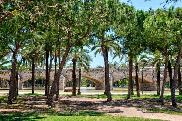 Pont Mar Den Spanska Staden Valencia — Stockfoto