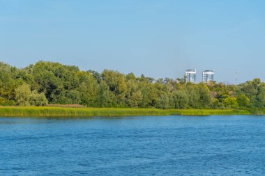 Ukrayna 'nın Kiev kentindeki Trukhaniv adasında orman