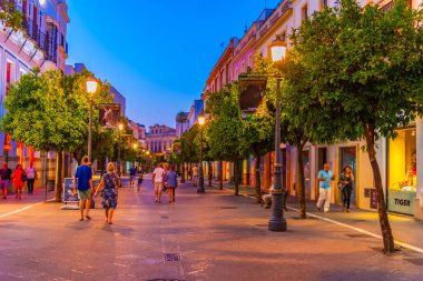 JEREZ DE LA FRONTERA, İSPA, 26 Haziran 2019: İspanya 'da gece boyunca Jerez de la Frontera' da insanlar sokakta geziniyor