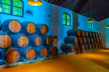 JEREZ DE LA FRONTERA, İspanya 'da Jerez de la Frontera, Tio Pepe Bodega' nın içinde şarap fıçıları