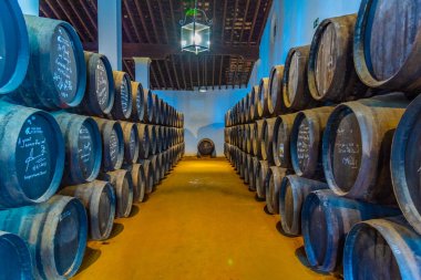 JEREZ DE LA FRONTERA, SPAIN, JUNE 26, 2019: Wine barrels inside of Bodega of Tio Pepe at Jerez de la Frontera in Spain clipart