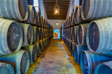 JEREZ DE LA FRONTERA, İspanya 'da Jerez de la Frontera, Tio Pepe Bodega' nın içinde şarap fıçıları