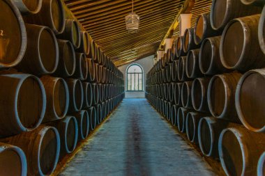 JEREZ DE LA FRONTERA, SPAIN, JUNE 26, 2019: Wine barrels inside of Bodega of Tio Pepe at Jerez de la Frontera in Spain clipart