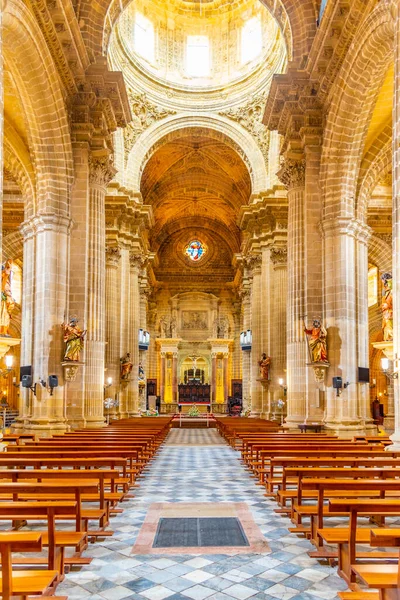 Jerez Frontera España Junio 2019 Interior Catedral Del Santo Salvador — Foto de Stock