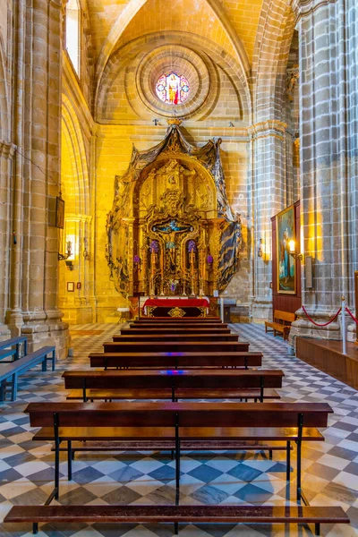 Jerez Frontera España Junio 2019 Interior Catedral Del Santo Salvador — Foto de Stock