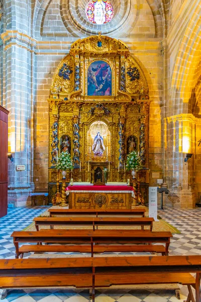 Jerez Frontera España Junio 2019 Interior Catedral Del Santo Salvador — Foto de Stock