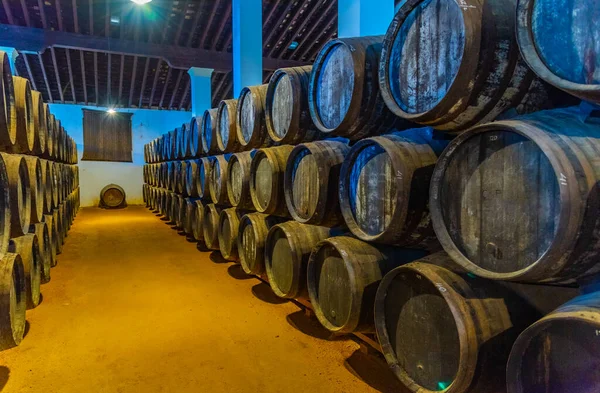 Jerez Frontera Espanha Junho 2019 Barris Vinho Dentro Bodega Tio — Fotografia de Stock