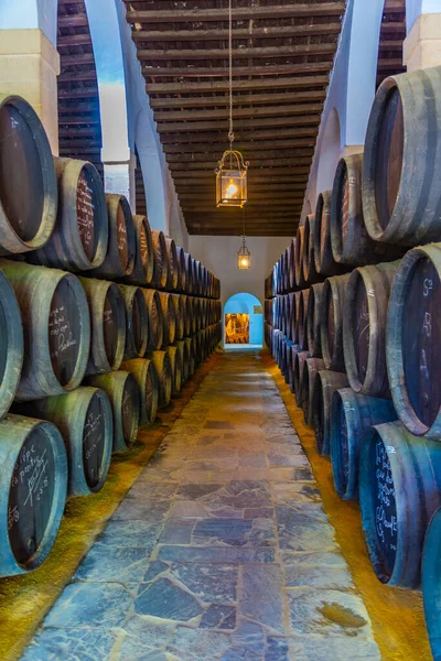 Jerez Frontera Espanha Junho 2019 Barris Vinho Dentro Bodega Tio — Fotografia de Stock