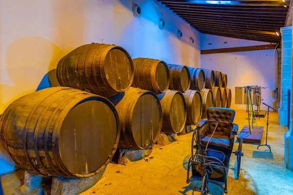 Jerez Frontera Ισπανια Ιουνιου 2019 Βαρέλια Κρασιού Μέσα Στο Bodega — Φωτογραφία Αρχείου