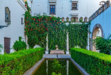 SEVILLA, SPAIN, 25 Haziran 2019: İspanya 'da gerçek alcazar de Sevilla' da Patio de los Levies
