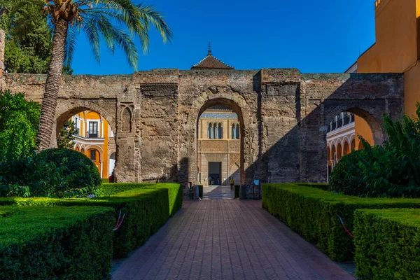 Sevilla Spanien Juni 2019 Vägen Som Leder Till Huvudgården Vid — Stockfoto