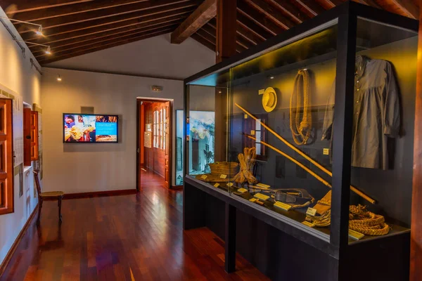 Elche Espanha Junho 2019 Interior Museu Palm Elche Espanha — Fotografia de Stock