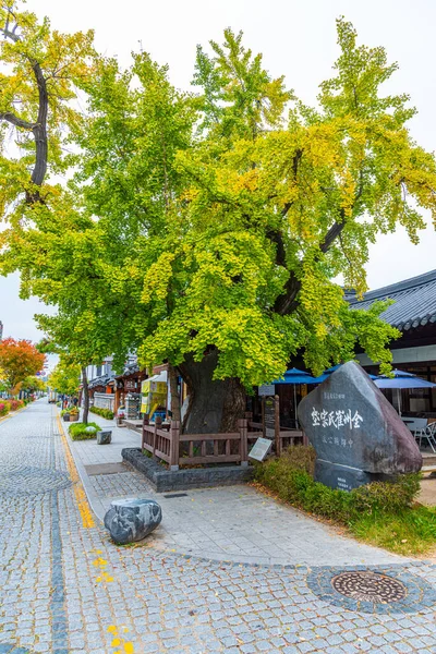 Jeonju Korea Outubro 2019 Pessoas Estão Passeando Uma Rua Tradicional — Fotografia de Stock