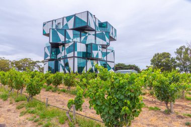 MCLAREN VALE, AUSTRALYA, 5 Ocak 2020: d 'Arenberg Küpü Avustralya' nın Mclaren Vale kentindeki bir üzüm bağında yer almaktadır.