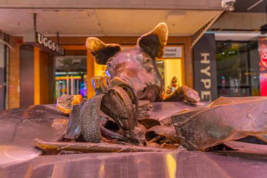 ADELAIDE, AUSTRALYA, 5 HAZİRAN 2020: Adelaide, Avustralya 'nın merkezindeki Rundle Mall caddesinde bir günlük heykel